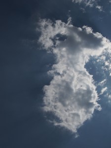 This looked like something alive.