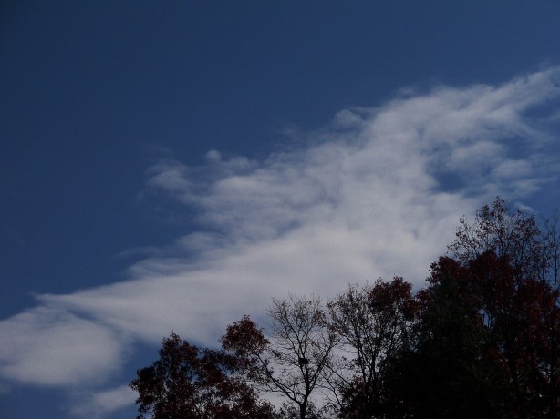 This looked like a map.