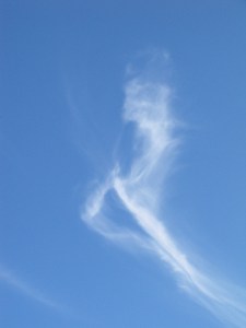 this fist and the triangle