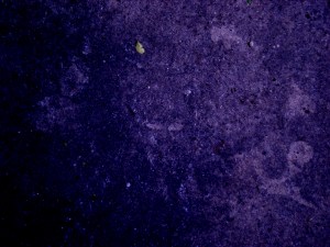 ???????????????????????????????