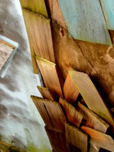 ???????????????????????????????