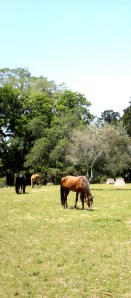 ??????????????????????