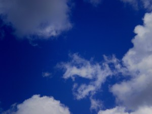 ???????????????????????????????