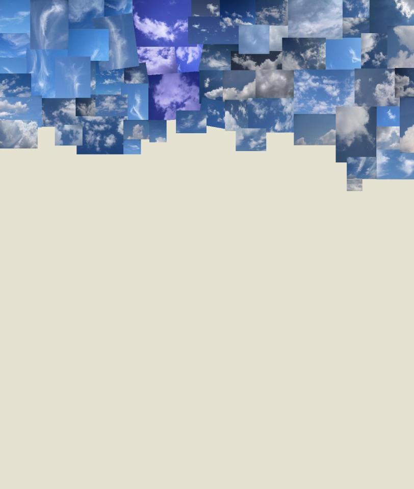 FRhyne_Cloudcalling_Additional Information - Copy-1