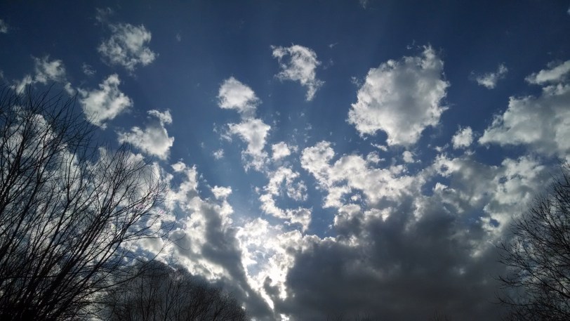 IMG_20140402_181650854