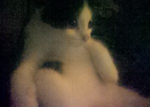 IMG_20151026_193752_edit