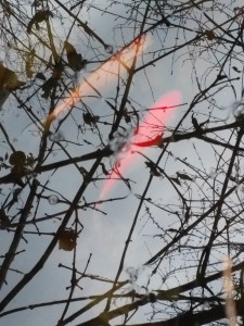 img_20170212_1210431