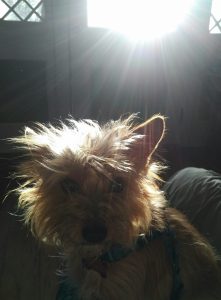 img_20170218_0804546