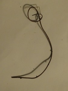 img_20170227_2207257